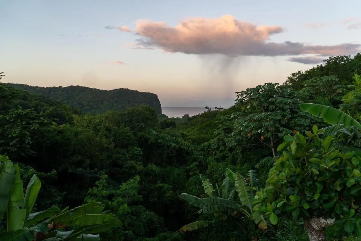 Tranquil Vistas Of Marigot 1B Apartment Marigot Bay